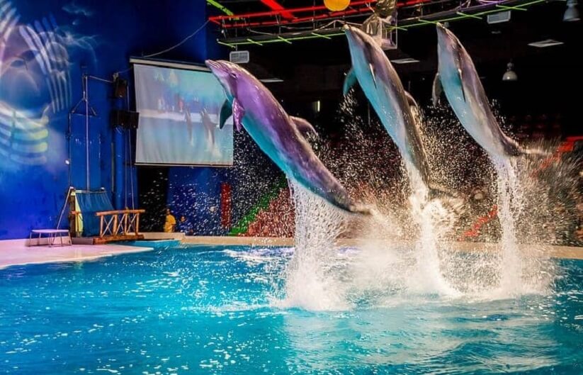 Dubai Dolphinarium