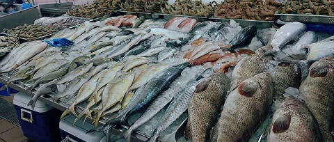 Fish Market Dubai